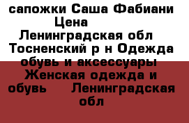 сапожки Саша Фабиани › Цена ­ 2 500 - Ленинградская обл., Тосненский р-н Одежда, обувь и аксессуары » Женская одежда и обувь   . Ленинградская обл.